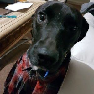 Meet your Posher, Robert